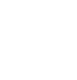豚肉イラスト